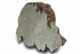 Etched Campo del Cielo Iron Meteorite ( g) Section #296029-2